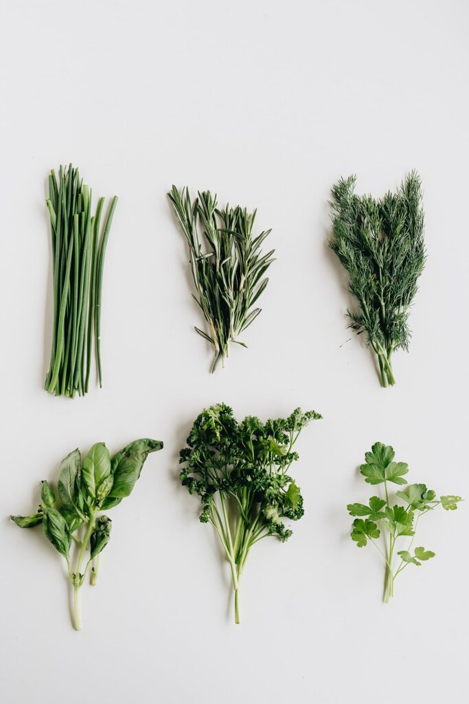 how to dry fresh herbs