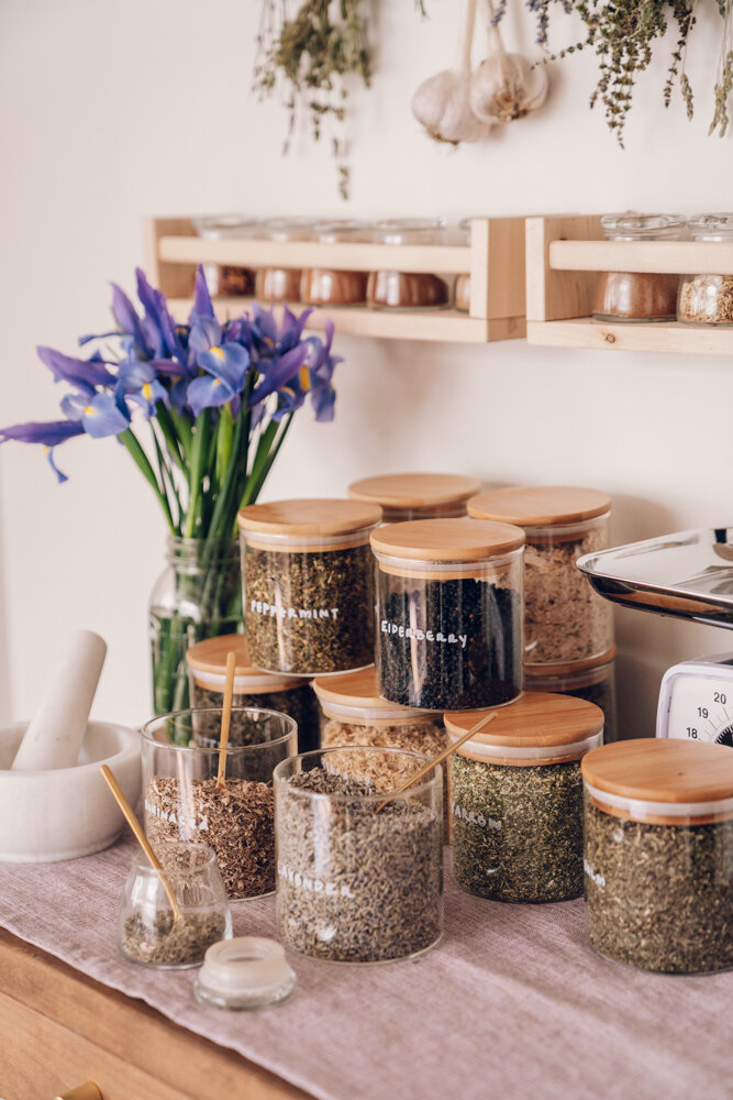 herbs in a home herbal apothecary