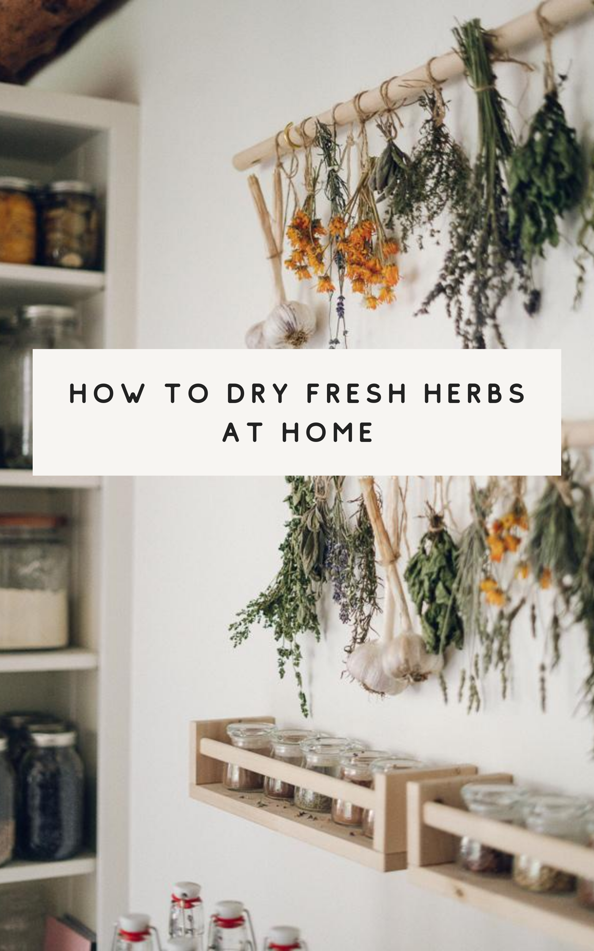 How to Dry Herbs - Fresh Off The Grid