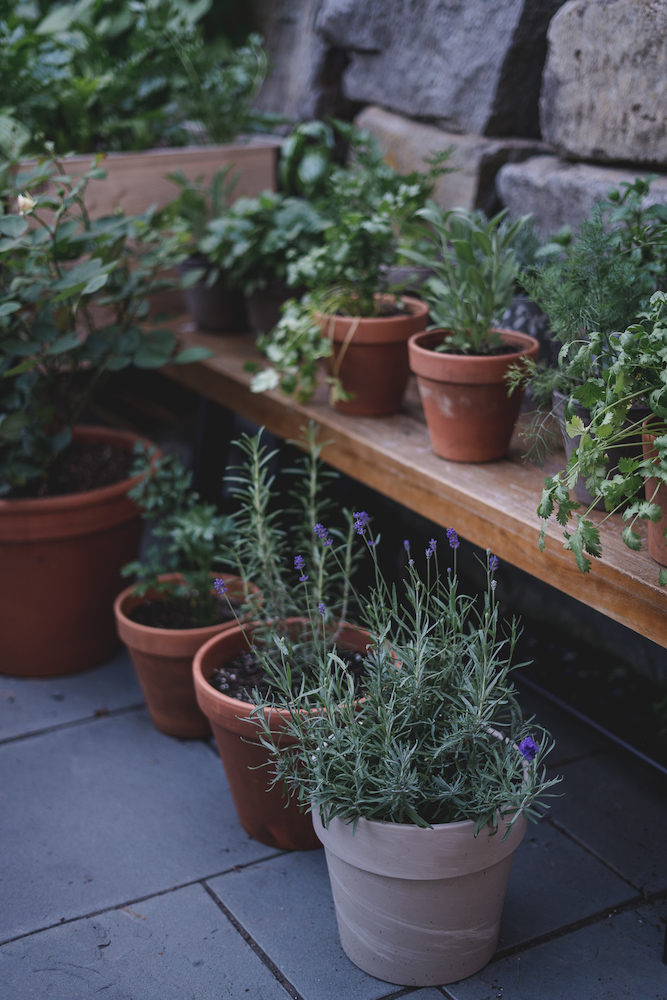 How To Plant A Garden In A Small Space (Great For Renters!)
