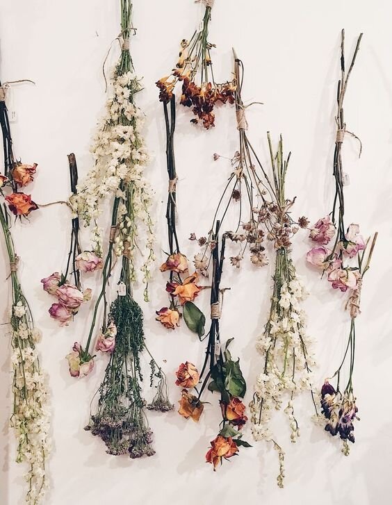 Beautiful DIY Herb Drying Rack For Drying Herbs