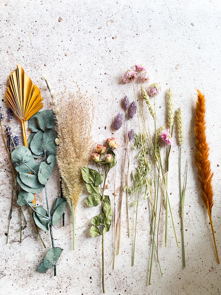 How To Dry Herbs From Your Garden (Complete Guide)