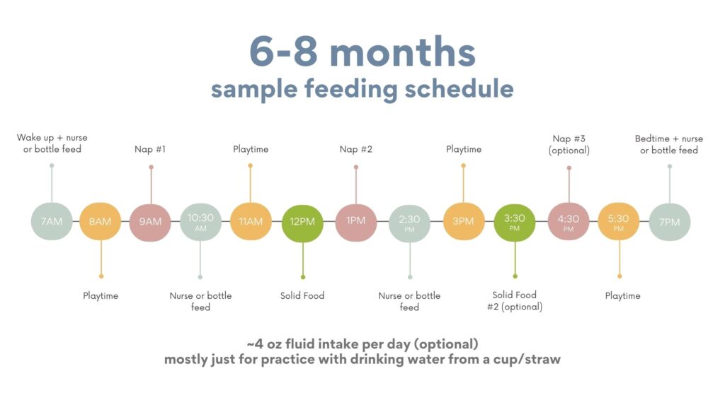 6-month-old feeding schedule: Timetable